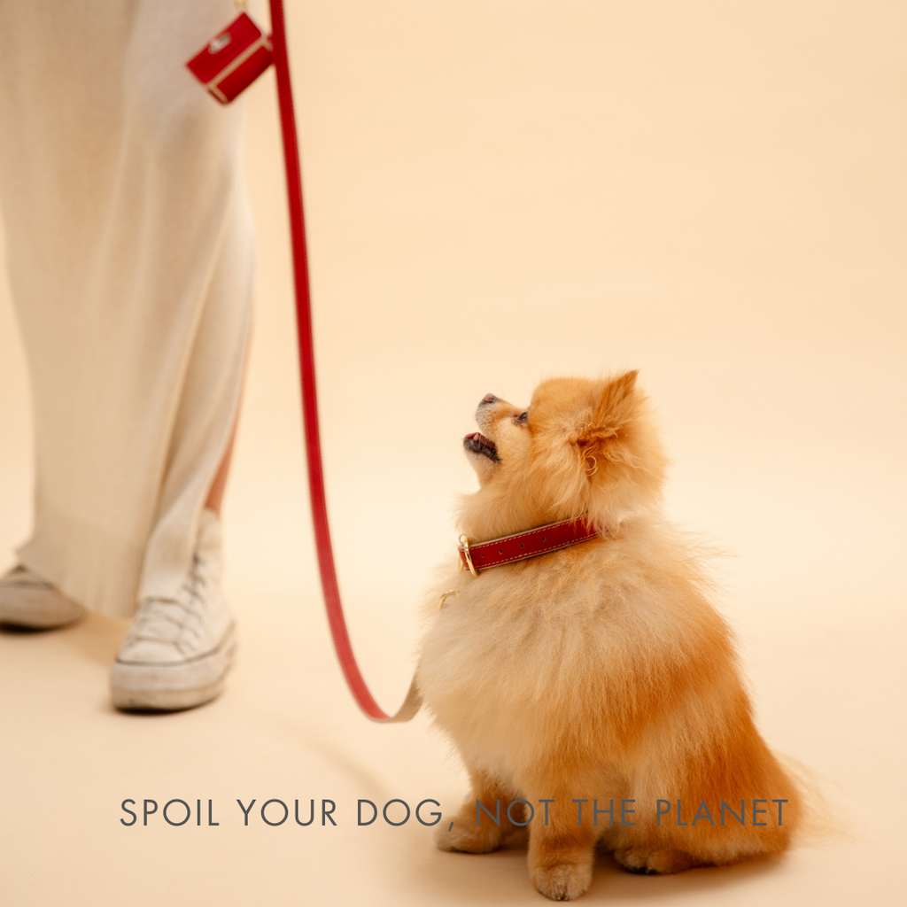 The Copenhagen Vegan Leather Leash — 4 ft