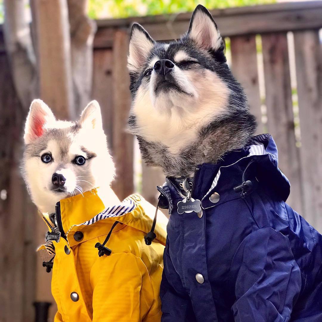 The Retro Raincoat