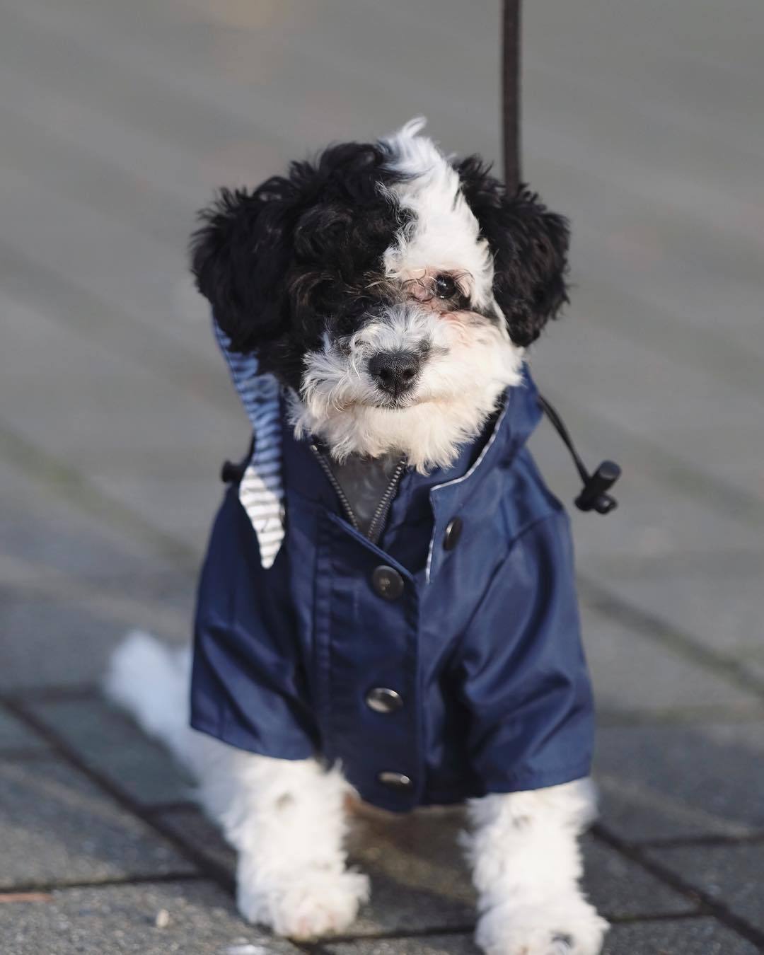 The Retro Raincoat