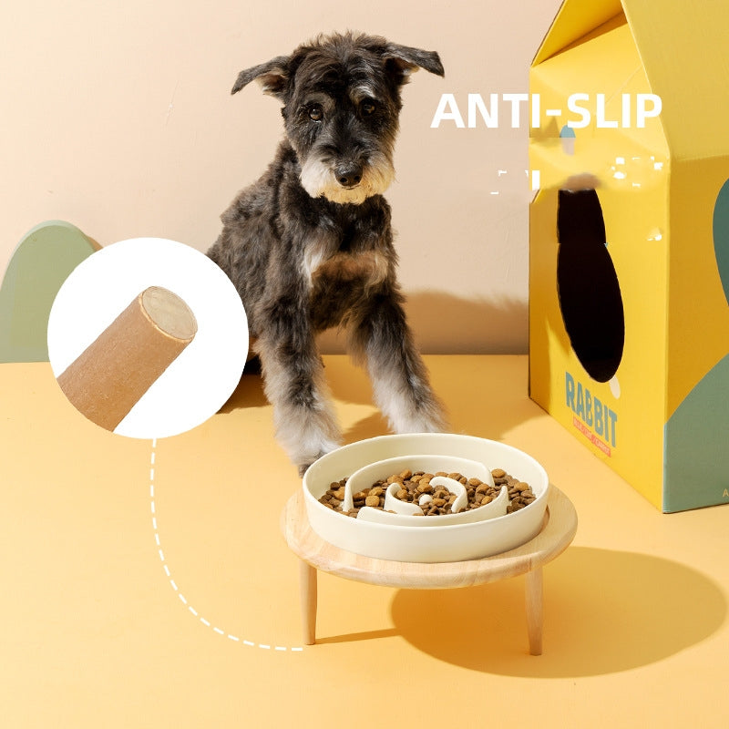 The Elevated Ceramic Slow Feeder