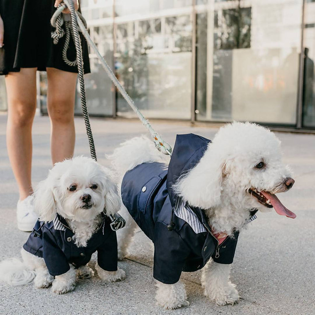 The Retro Raincoat