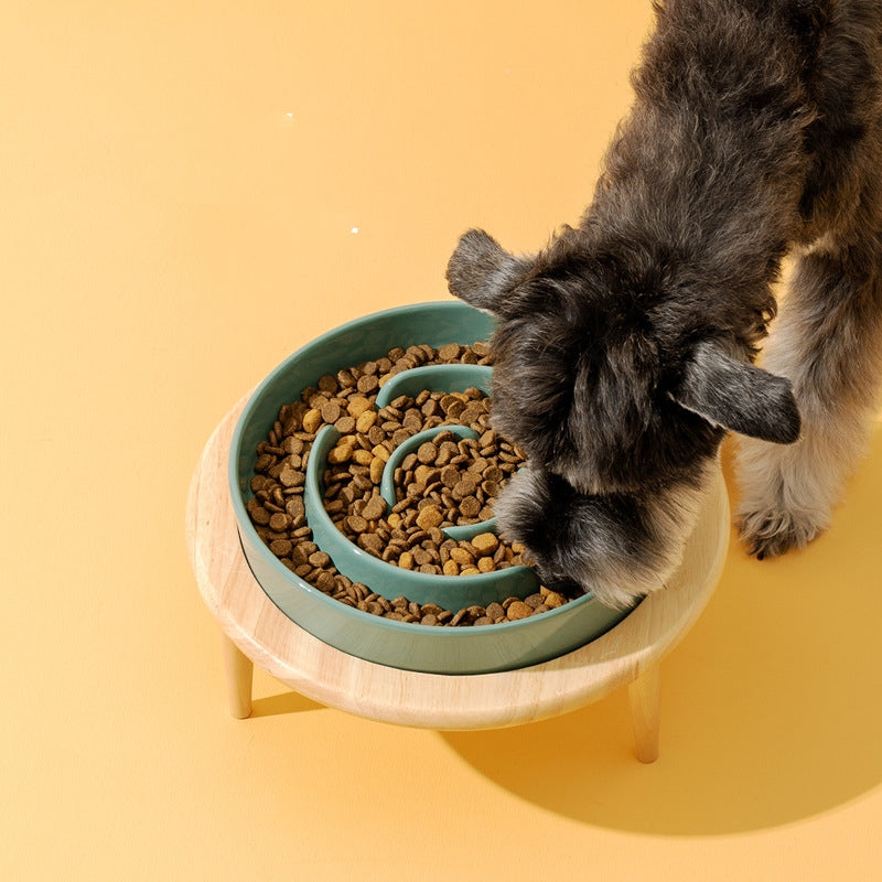 The Elevated Ceramic Slow Feeder