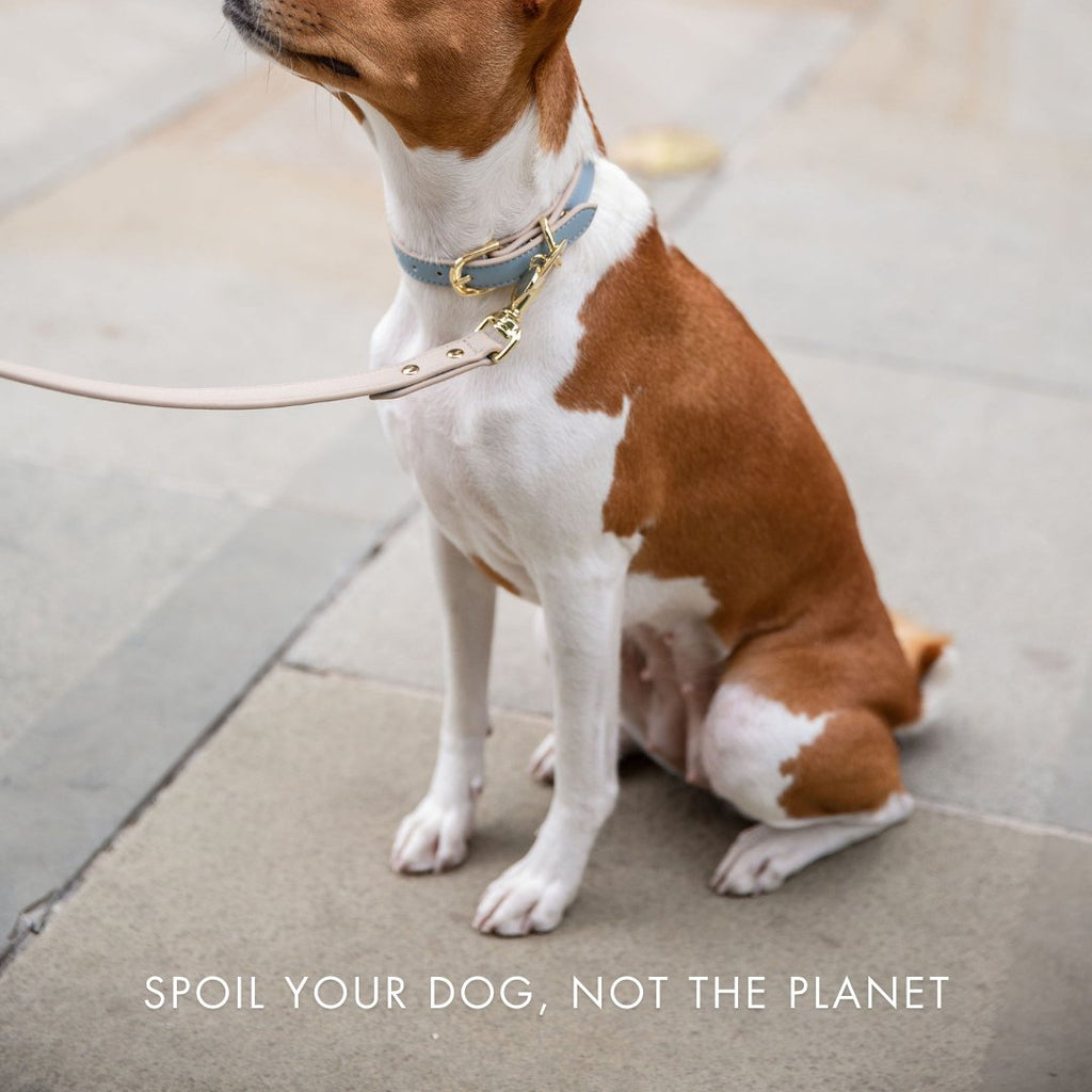 The Cupertino AirTag Collar by Nina Woof