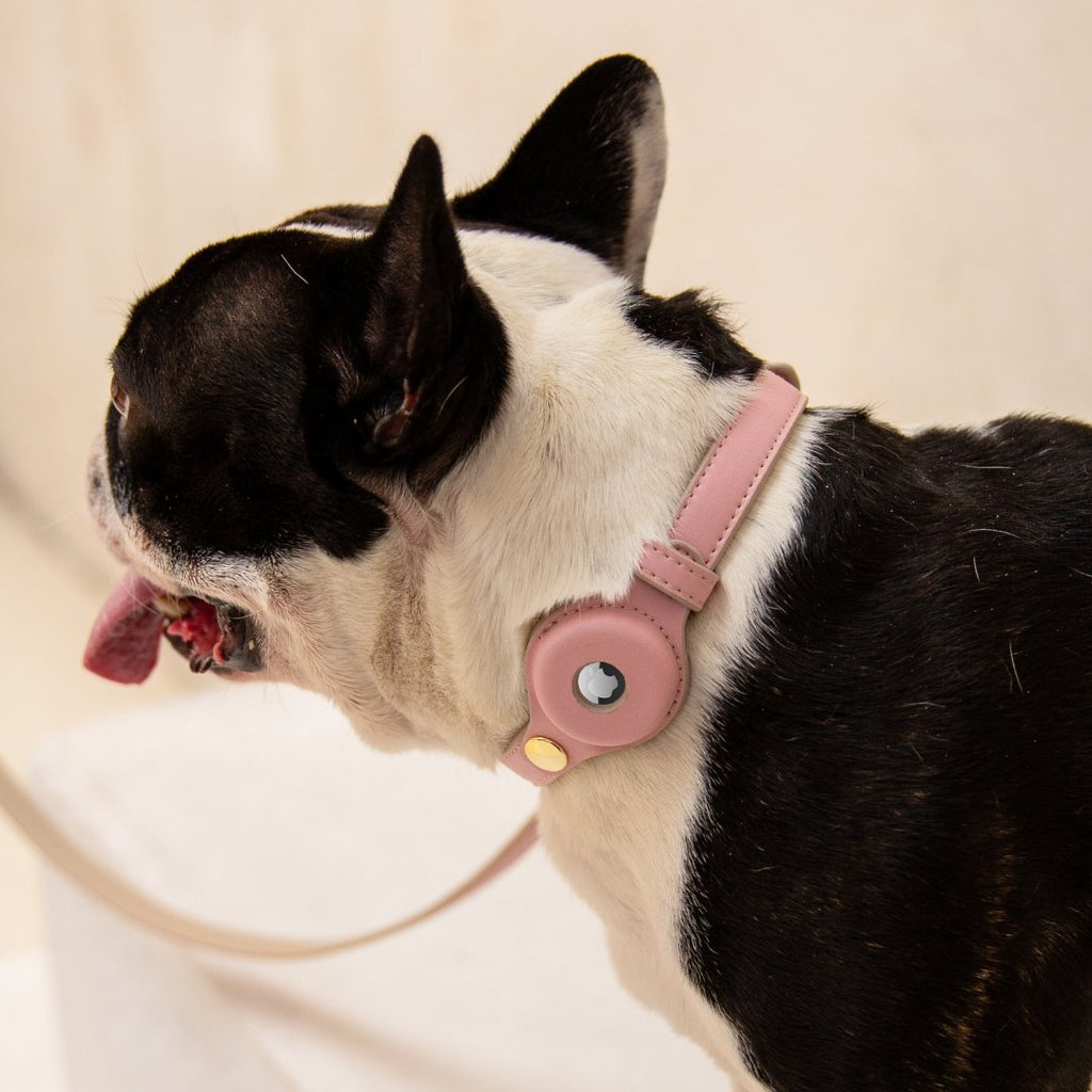 The Cupertino AirTag Collar by Nina Woof