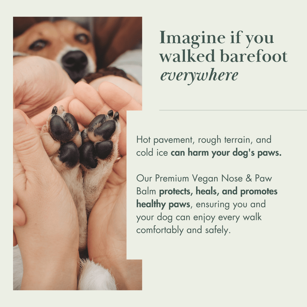 Vegan Nose and Paw Balm