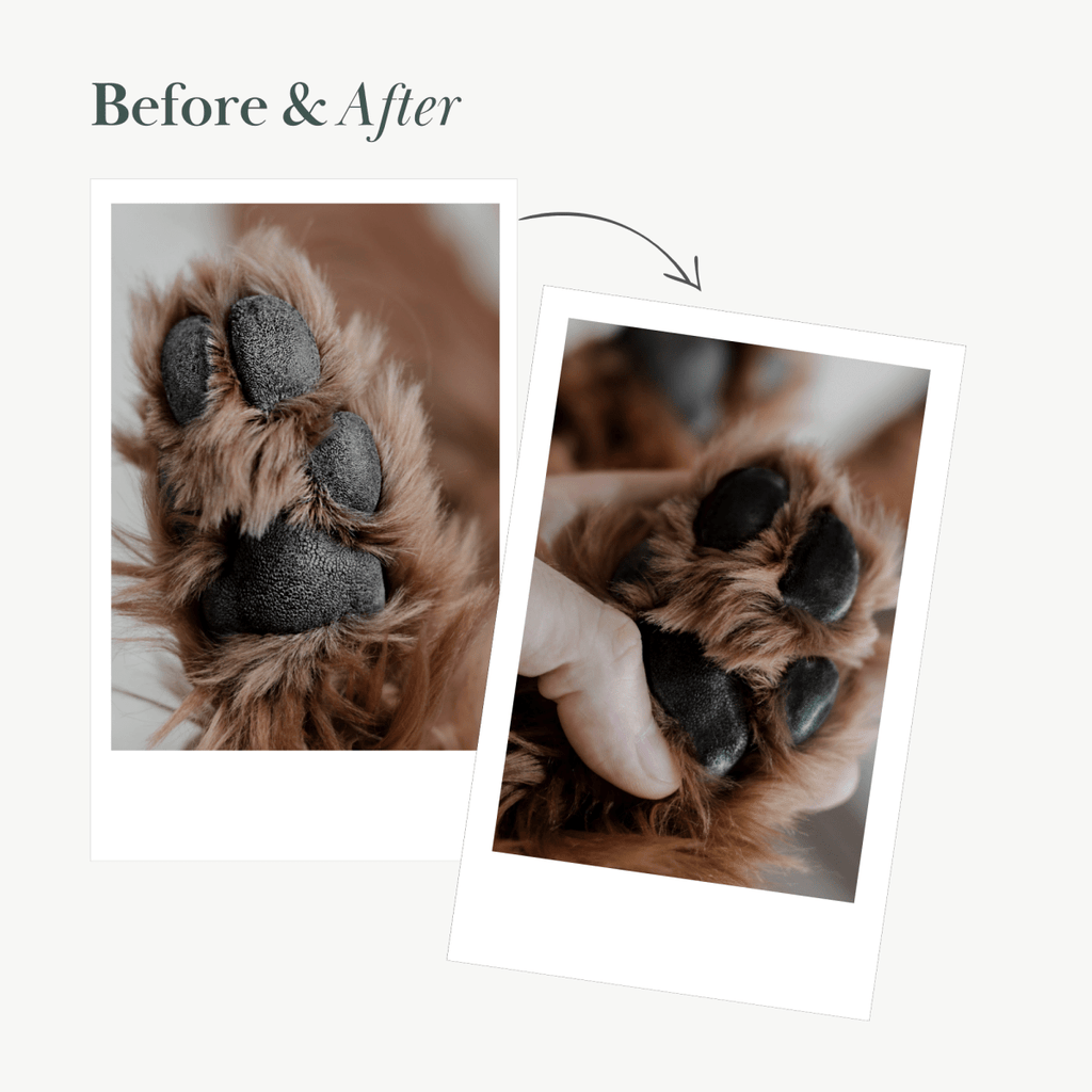 Vegan Nose and Paw Balm
