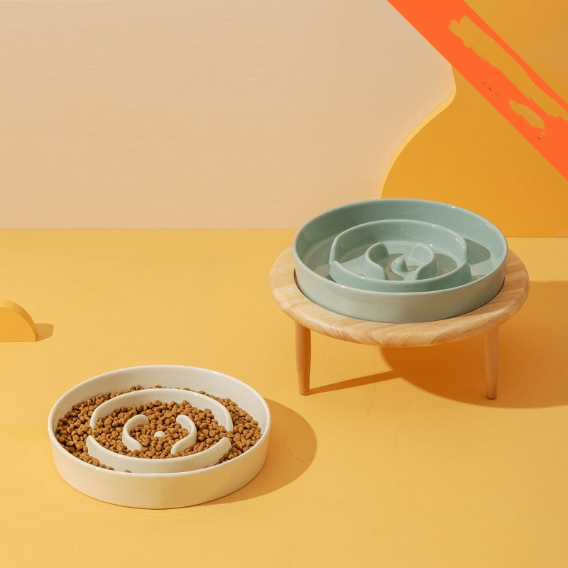 The Elevated Ceramic Slow Feeder