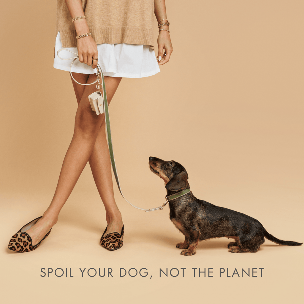 The Copenhagen Vegan Leather Leash — 4 ft