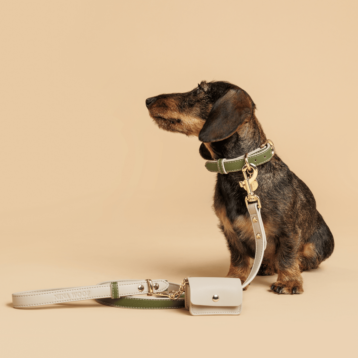 The Copenhagen Vegan Leather Leash — 4 ft